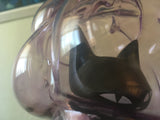 closeup of the kitty's head from a front-left angle. both eyes are visible