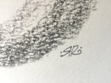 Stoner Cat original graphite drawing